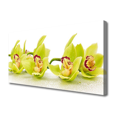 Canvas Wall art Flowers floral green