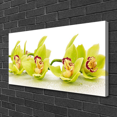 Canvas Wall art Flowers floral green