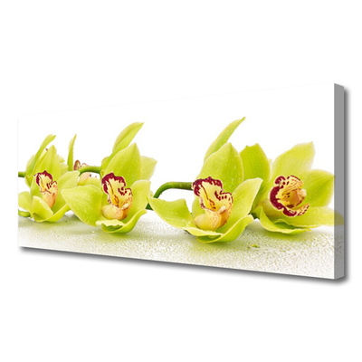 Canvas Wall art Flowers floral green