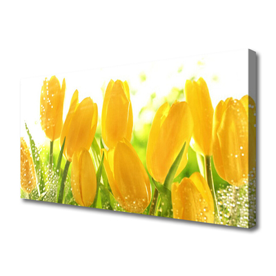 Canvas Wall art Tulips floral yellow green