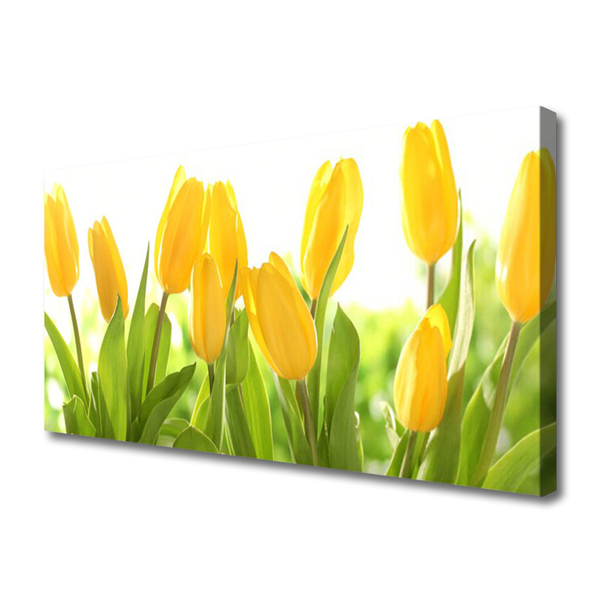 Canvas Wall art Tulips floral yellow green