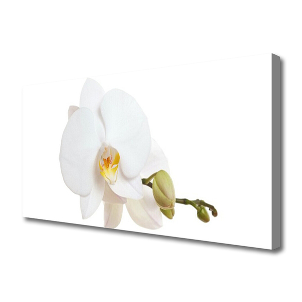 Canvas Wall art Flower floral white
