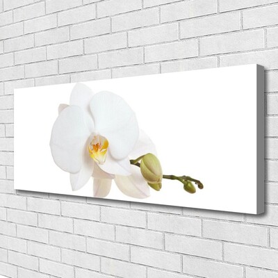 Canvas Wall art Flower floral white