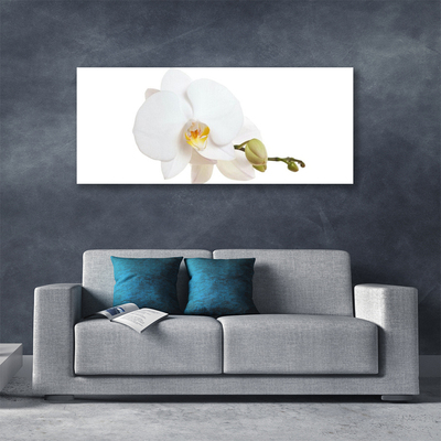 Canvas Wall art Flower floral white