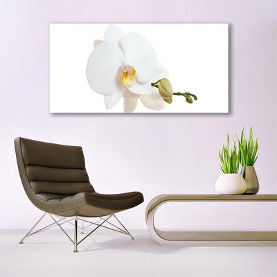 Canvas Wall art Flower floral white