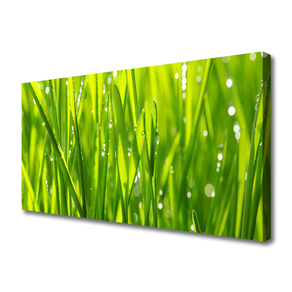 Canvas Wall art Grass nature green