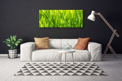 Canvas Wall art Grass nature green