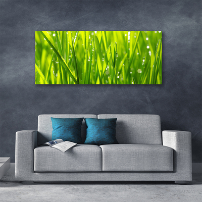 Canvas Wall art Grass nature green