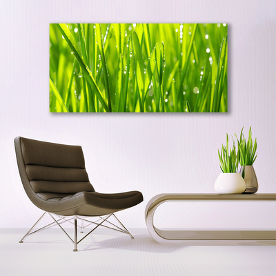 Canvas Wall art Grass nature green