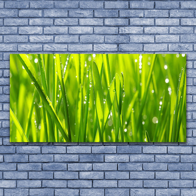 Canvas Wall art Grass nature green