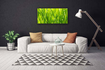 Canvas Wall art Grass nature green