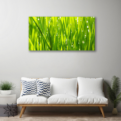 Canvas Wall art Grass nature green