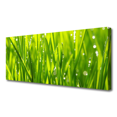 Canvas Wall art Grass nature green