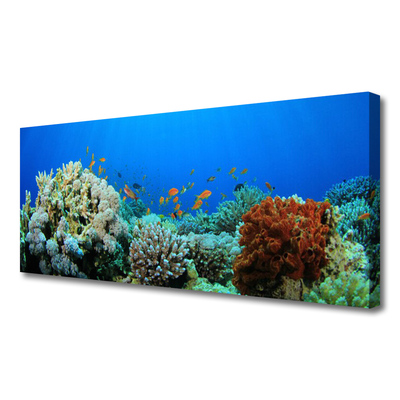 Canvas Wall art Coral reef nature multi