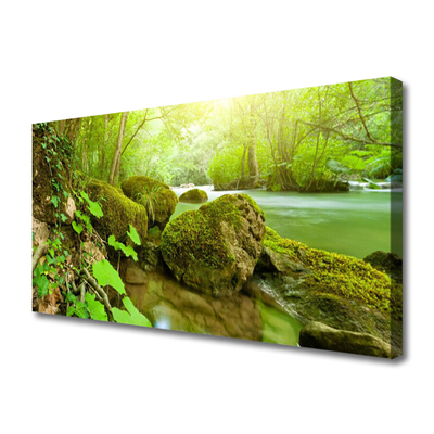 Canvas Wall art Lake stones nature green