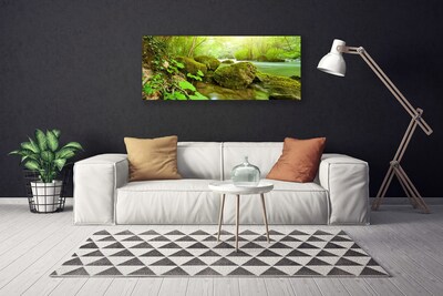 Canvas Wall art Lake stones nature green