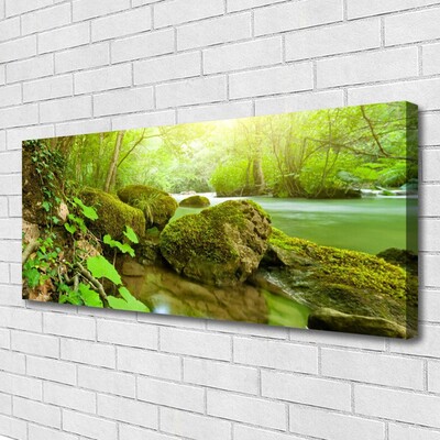 Canvas Wall art Lake stones nature green