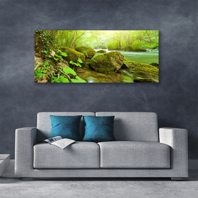 Canvas Wall art Lake stones nature green