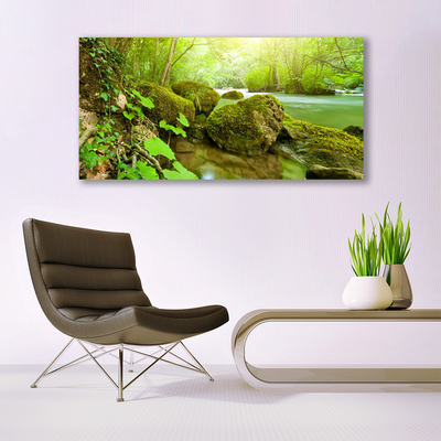 Canvas Wall art Lake stones nature green