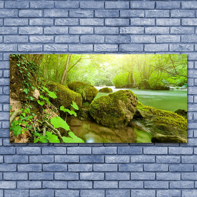 Canvas Wall art Lake stones nature green