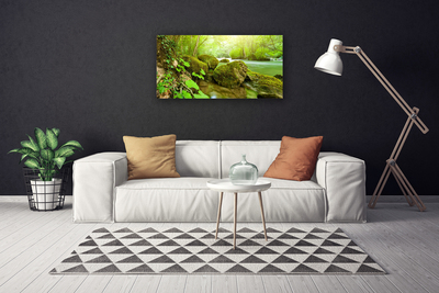 Canvas Wall art Lake stones nature green