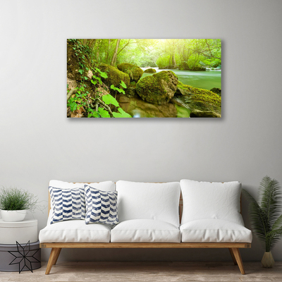 Canvas Wall art Lake stones nature green