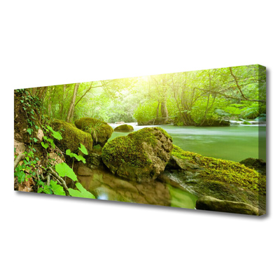 Canvas Wall art Lake stones nature green