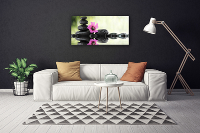 Canvas Wall art Flower stones art pink black