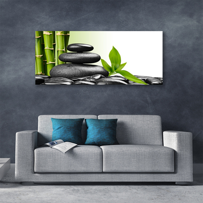 Canvas Wall art Bamboo stalks stones art green black