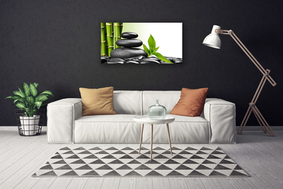 Canvas Wall art Bamboo stalks stones art green black