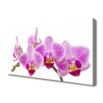 Canvas Wall art Flowers floral pink