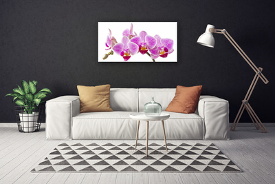 Canvas Wall art Flowers floral pink