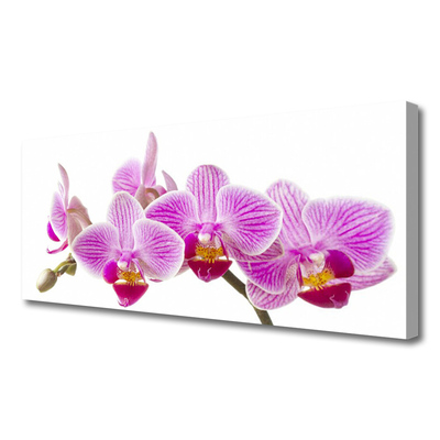 Canvas Wall art Flowers floral pink