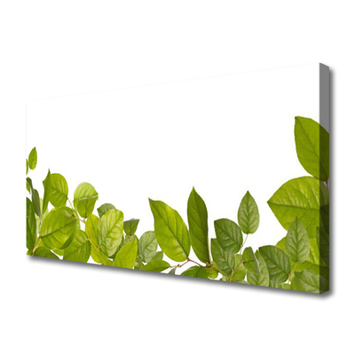 Canvas Wall art Leaves floral green