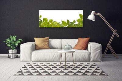 Canvas Wall art Leaves floral green