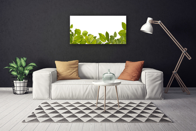 Canvas Wall art Leaves floral green