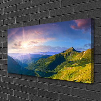 Canvas Wall art Mountain meadow sun landscape yellow grey green purple