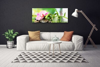 Canvas Wall art Bamboo stalk flower stones nature green pink grey