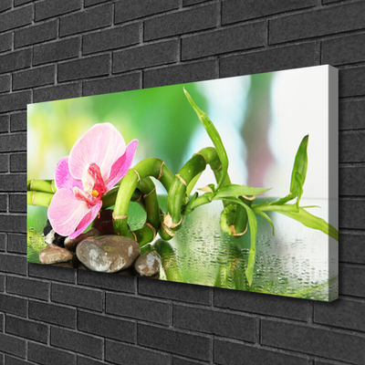 Canvas Wall art Bamboo stalk flower stones nature green pink grey