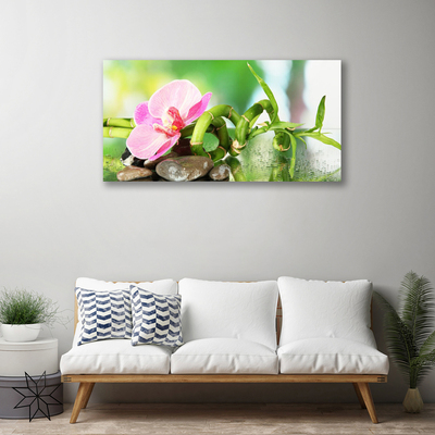 Canvas Wall art Bamboo stalk flower stones nature green pink grey