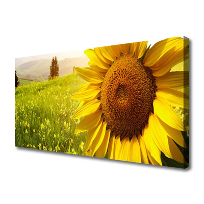 Canvas Wall art Sunflower floral yellow brown