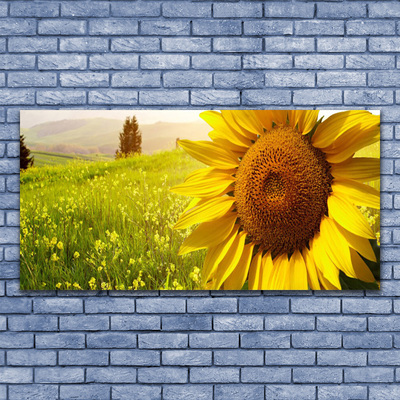 Canvas Wall art Sunflower floral yellow brown