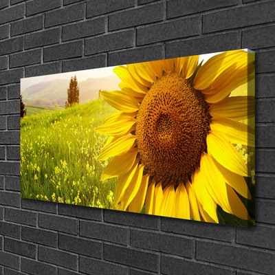 Canvas Wall art Sunflower floral yellow brown