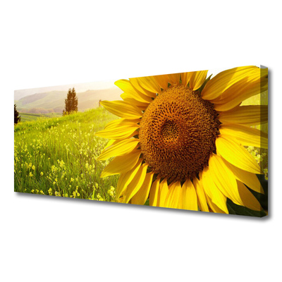 Canvas Wall art Sunflower floral yellow brown