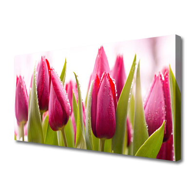 Canvas Wall art Tulips floral red