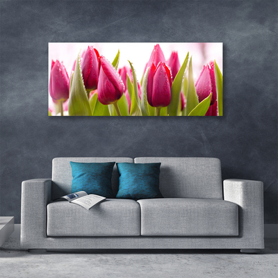 Canvas Wall art Tulips floral red