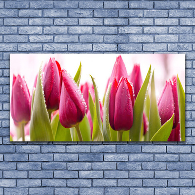 Canvas Wall art Tulips floral red