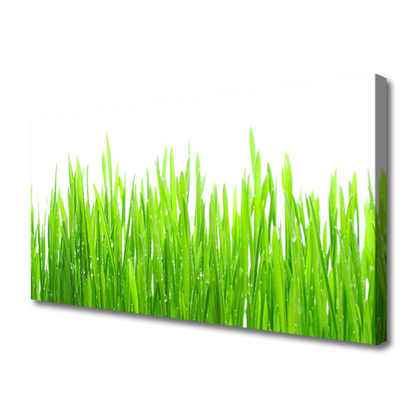 Canvas Wall art Grass nature green