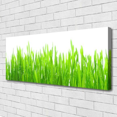 Canvas Wall art Grass nature green