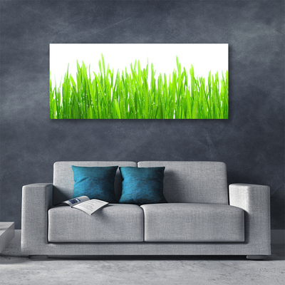 Canvas Wall art Grass nature green